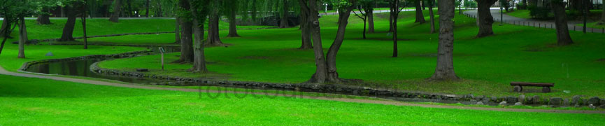 Random header image... Refresh for more!