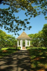 Singapore Botanic Gardens