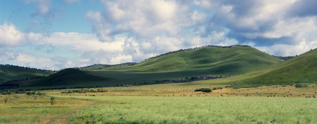 Grasslands in Inner Mongolia